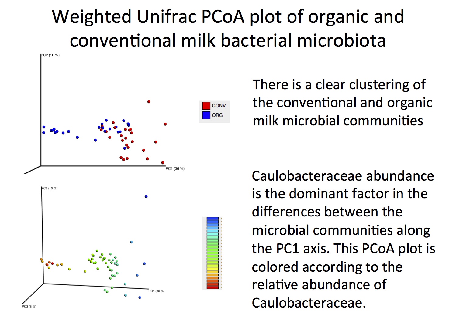 Weighted Unifrac PCoA plot of organic and conventional milk bacterial microbiota