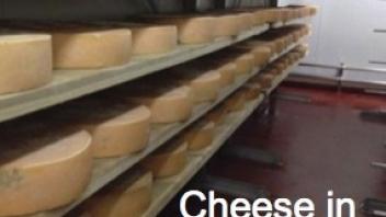 Cheese in agin room